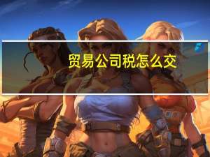 贸易公司税怎么交