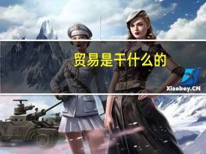 贸易是干什么的