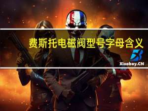 费斯托电磁阀型号字母含义