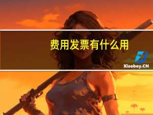 费用发票有什么用