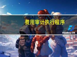 费用审计执行程序