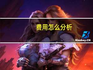 费用怎么分析