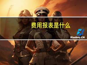 费用报表是什么