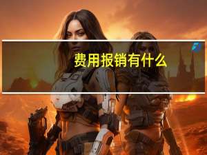 费用报销有什么