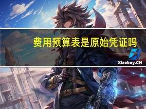 费用预算表是原始凭证吗