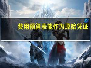 费用预算表能作为原始凭证（费用预算表怎么做）