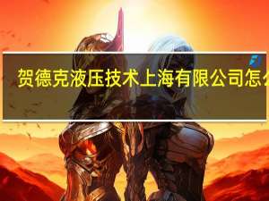 贺德克液压技术上海有限公司怎么样（贺德克液压技术上海有限公司）