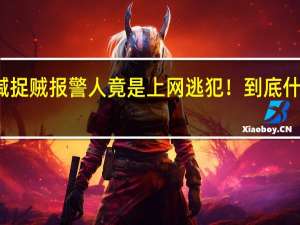 贼喊捉贼报警人竟是上网逃犯！ 到底什么情况嘞