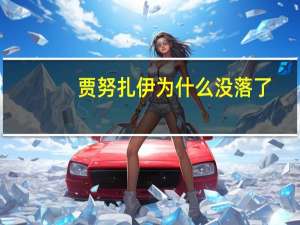 贾努扎伊为什么没落了