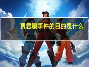 贾君鹏事件的目的是什么（贾君鹏是谁）