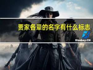 贾家各辈的名字有什么标志