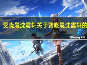 贾晓晨沈震轩 关于贾晓晨沈震轩的介绍