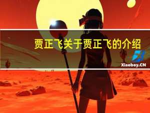 贾正飞 关于贾正飞的介绍
