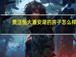 贾汪恒大潘安湖的房子怎么样