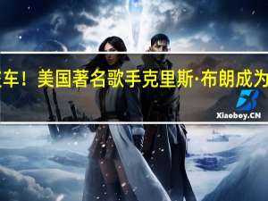 贾跃亭又交车！美国著名歌手克里斯·布朗成为下一任FF91车主