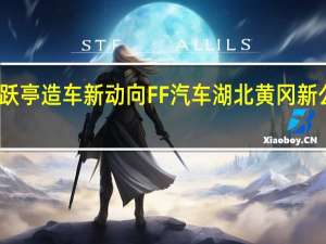 贾跃亭造车新动向FF汽车湖北黄冈新公司成立
