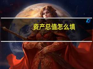 资产总值怎么填