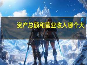 资产总额和营业收入哪个大（资产总额）