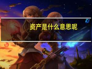 资产是什么意思呢