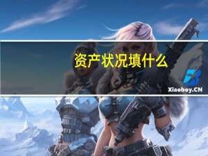资产状况填什么