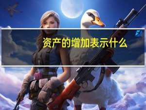 资产的增加表示什么
