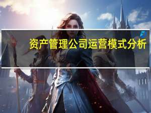 资产管理公司运营模式分析（资产管理公司运营模式）