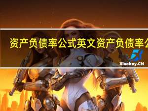 资产负债率公式英文 资产负债率公式