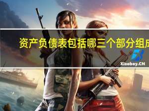 资产负债表包括哪三个部分组成，请列举出来