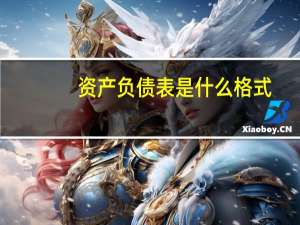 资产负债表是什么格式