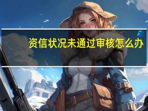 资信状况未通过审核怎么办