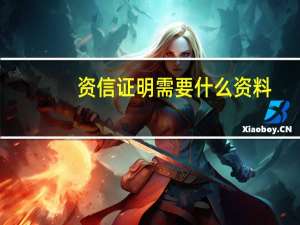 资信证明需要什么资料