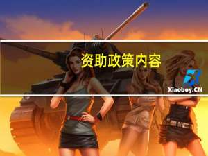 资助政策内容