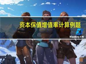 资本保值增值率计算例题（资本保值增值率）