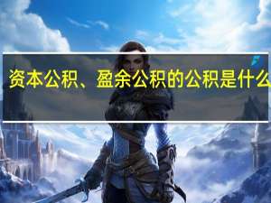 资本公积、盈余公积的公积是什么意思