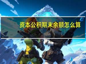 资本公积期末余额怎么算