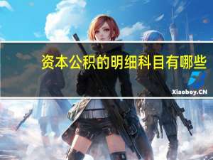 资本公积的明细科目有哪些