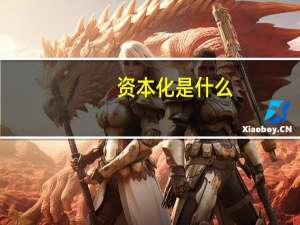资本化是什么