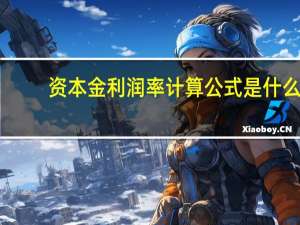 资本金利润率计算公式是什么