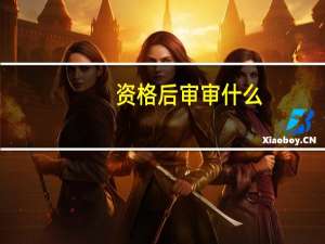 资格后审审什么