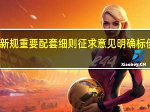 资管新规重要配套细则征求意见 明确标债认定路径