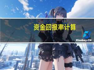 资金回报率计算