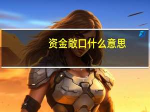 资金敞口什么意思