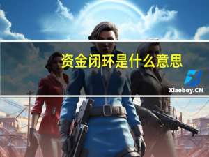 资金闭环是什么意思