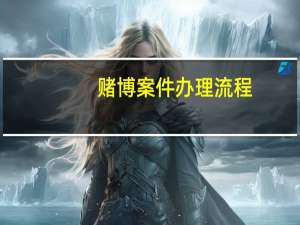 赌博案件办理流程