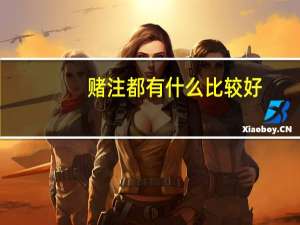 赌注都有什么比较好