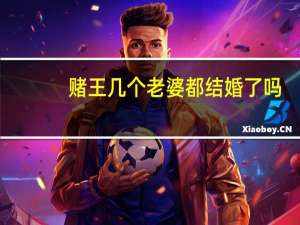 赌王几个老婆都结婚了吗（赌王几个老婆）
