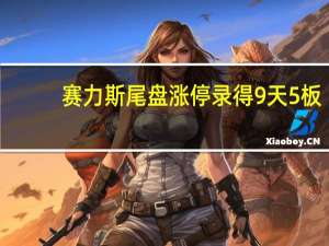 赛力斯尾盘涨停 录得9天5板