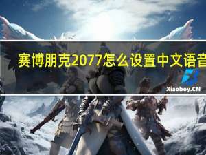 赛博朋克2077怎么设置中文语音包（赛博朋克2077怎么设置中文）