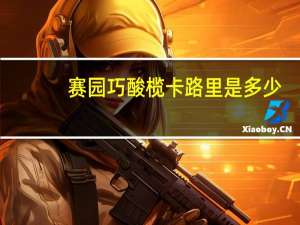 赛园 巧酸榄卡路里是多少