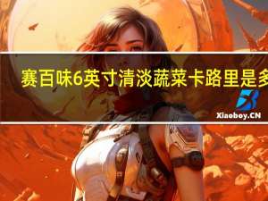 赛百味 6英寸清淡蔬菜卡路里是多少